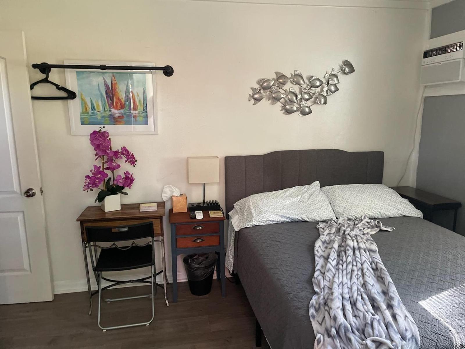 Lovely Studio Apartment With Kitchenette. Tampa Zewnętrze zdjęcie