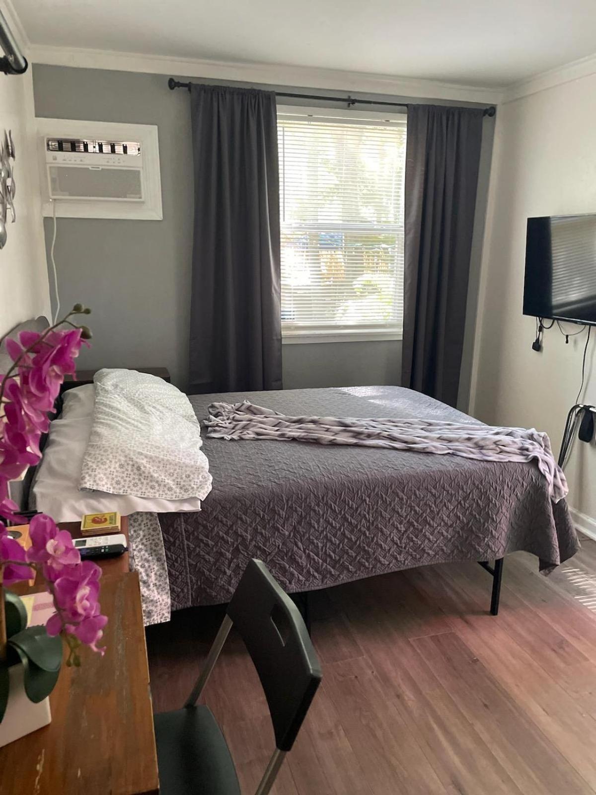 Lovely Studio Apartment With Kitchenette. Tampa Zewnętrze zdjęcie